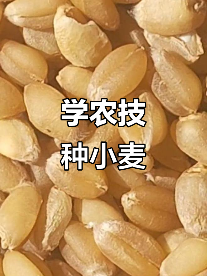 2025年9月 第2页